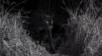 Capture Youtube Will Burrard Lucas Capture Youtube Will Burrard Lucas