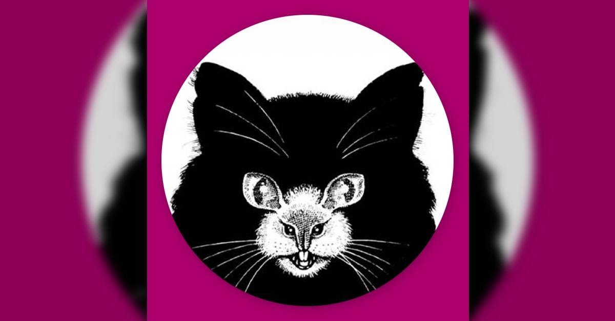 Test de personalidad sexual: ¿ves un gato o una rata?