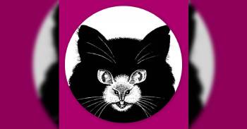 test personalidad sexual gato o raton test personalidad sexual gato o raton