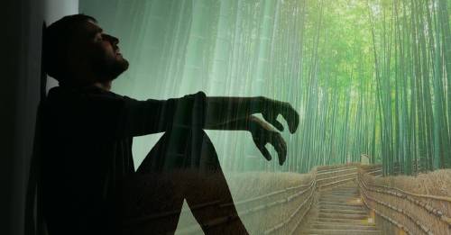 La fábula del helecho y el bambú que deberías leer cuando pases por un momento difícil La fábula del helecho y el bambú que deberías leer cuando pases por un momento difícil