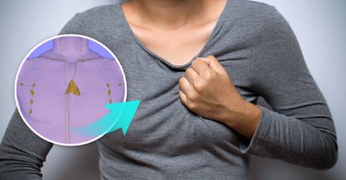 glandula felicidad como activarla glandula felicidad como activarla