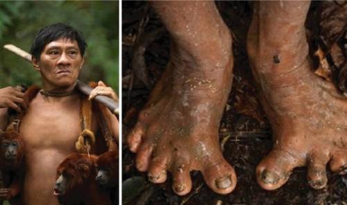 10+ fotos impresionantes que un fotógrafo capturó de los nativos del Amazonas