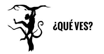 PORTADA PORTADA