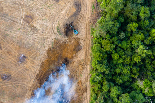 deforestacion imagen aerea de un bosque deforestado