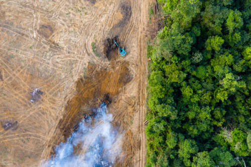 imagen aerea de un bosque deforestado
