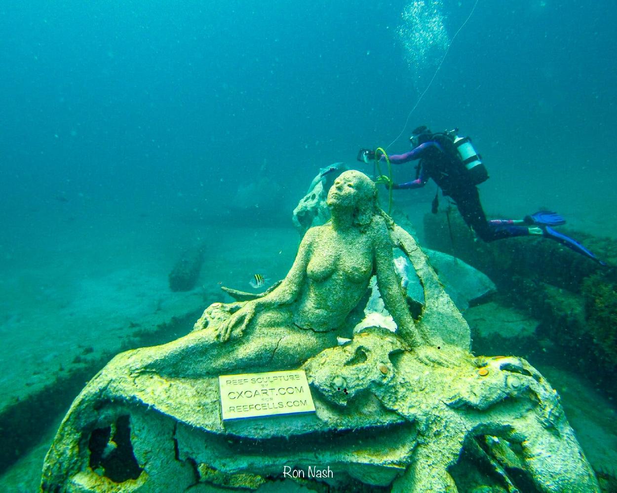 Este jardín submarino en Florida te inmortaliza como una sirena