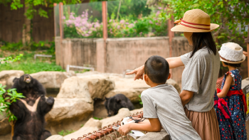 Mujer con un sombrero marron y sus dos hijos observan un oso negro en un zoológico