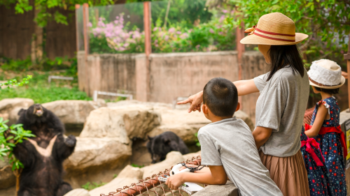 Mujer con un sombrero marron y sus dos hijos observan un oso negro en un zoológico Mujer con un sombrero marron y sus dos hijos observan un oso negro en un zoológico
