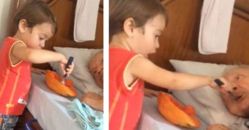 Este niño le da de comer a su abuelito y el momento emociona a miles de perso..
