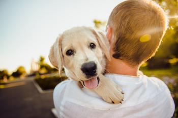 Lo que tu perro quiere decir cuando te pone la pata encima