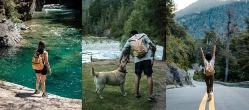 310311975_552598123487292_7333878689668542366_n 310311975_552598123487292_7333878689668542366_n