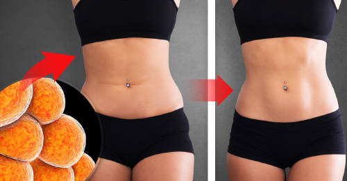 grasa parda como activarla bajar peso grasa parda como activarla bajar peso