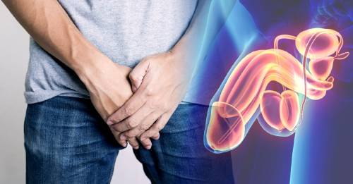 5 cosas sobre el pene que muchos hombres nunca confesarían 5 cosas sobre el pene que muchos hombres nunca confesarían