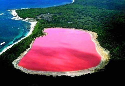 El lago hillier, un lago rosa