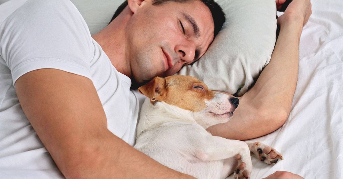 La ciencia confirma que es mejor dormir con tu mascota que con tu pareja