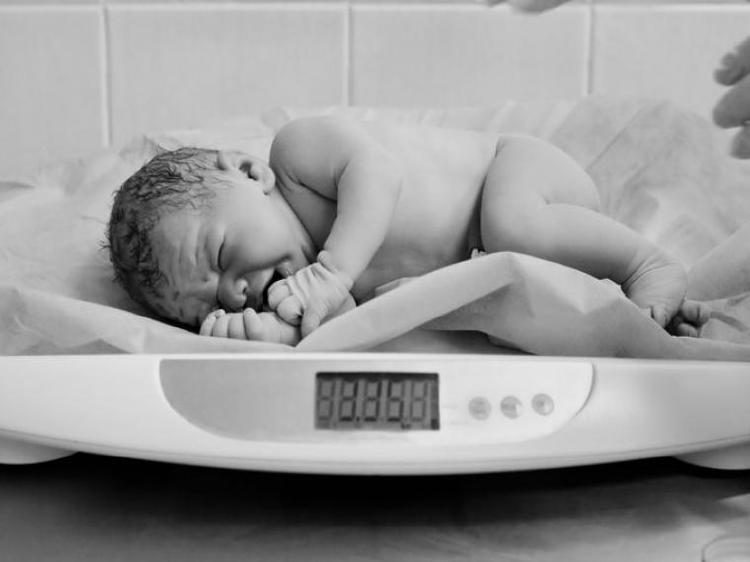 120192076_1029868384106287_6812640076511462678_n 120192076_1029868384106287_6812640076511462678_n