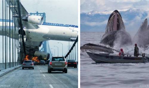 21+ fotos que capturaron en el momento exacto
