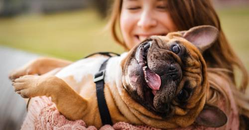 Las raíces del amor por los animales: así es como formamos lazos profundos con ellos