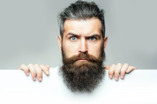 La barba de los hombres tiene tantas bacterias como el pelo de los perros