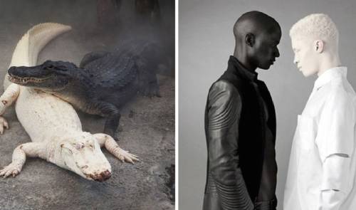 Estas impresionantes fotografías son perfectas y tienen efectos asombrosos,