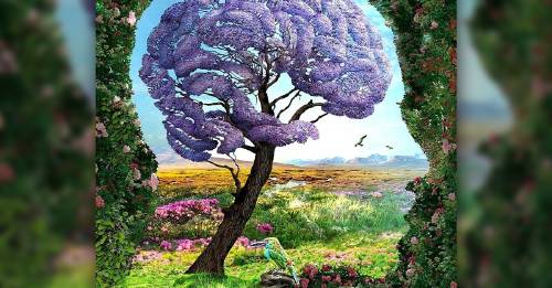 Test de percepción lo primero que veas revela un secreto inconsciente de tu personalidad Test de percepción lo primero que veas revela un secreto inconsciente de tu personalidad