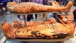 descarga (37) descarga (37)