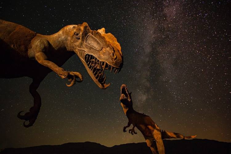 Esto es lo que pasó después del impacto del asteroide que acabó con los dinosaurios