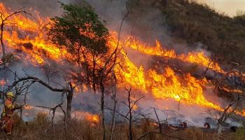 incendios argentina