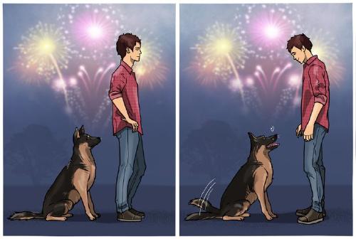 b381c15fc18e488b4258990472 b381c15fc18e488b4258990472