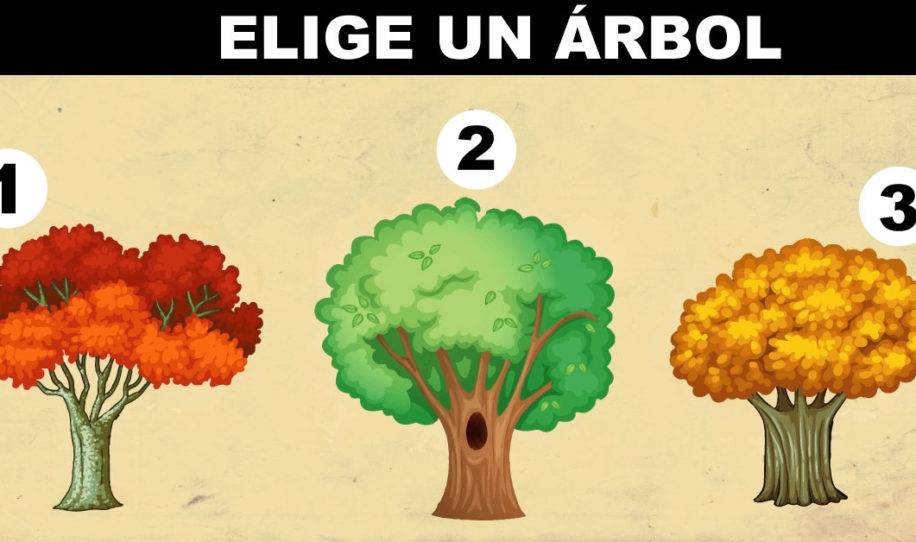 El árbol que más te guste te dirá un secreto de tu personalidad y futuro