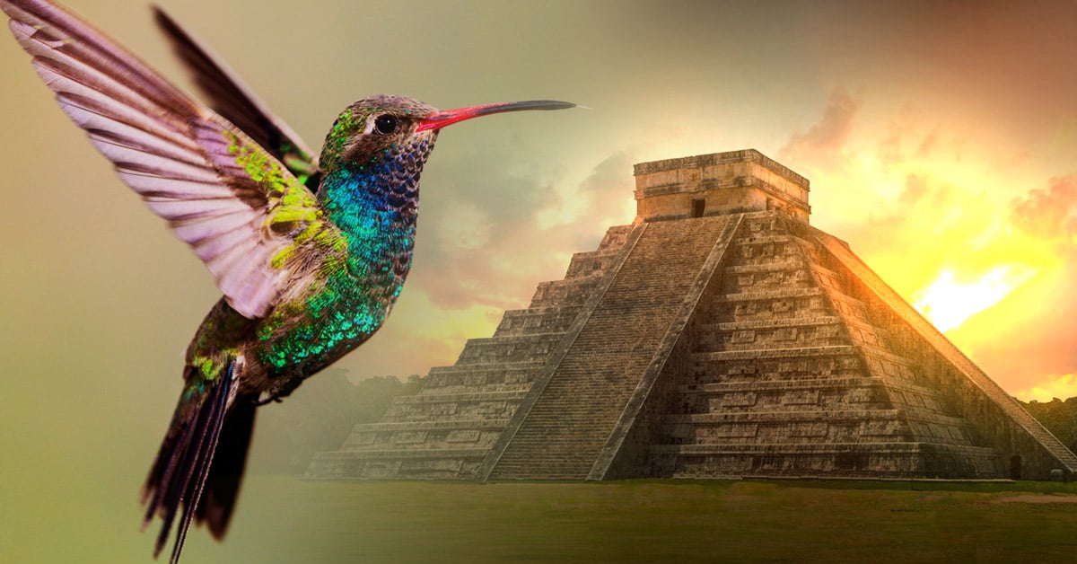 leyenda maya del colibrí