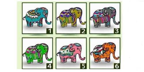 Aspectos importantes de tu espiritualidad puedes saber, si eliges un elefante