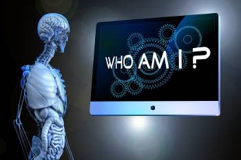 Cuerpo humano  Cuerpo humano
