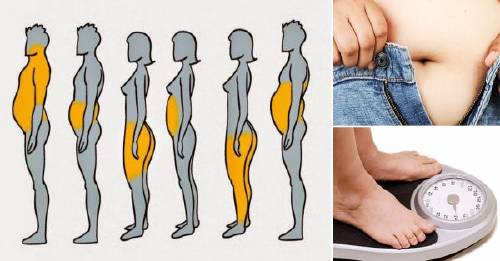 Diferentes cuerpos y tipos de sobrepeso