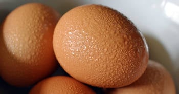 trucos utiles saber huevo sano