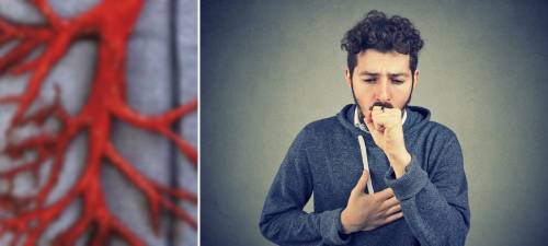 portadacoal portadacoal