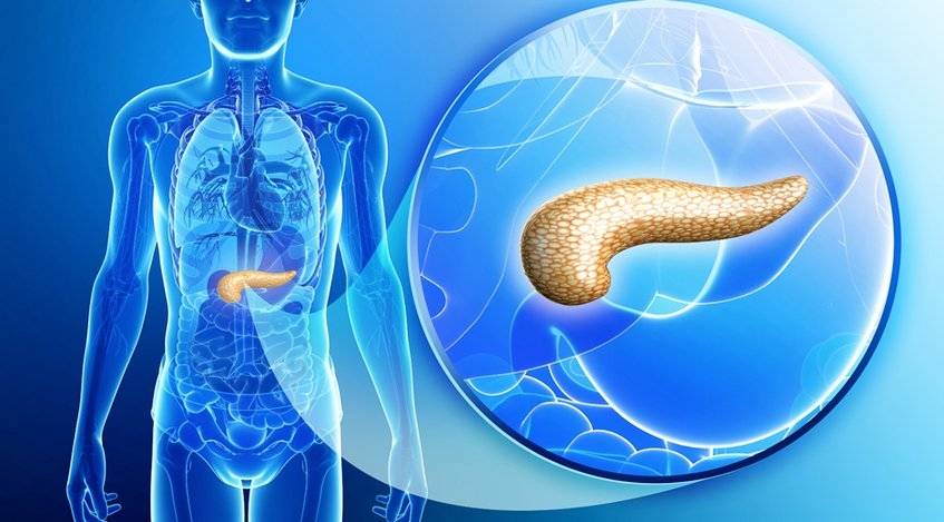 Así será el páncreas artificial para ayudar a los diabeticos