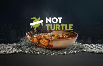 NotTurtle_Portrait NotTurtle_Portrait