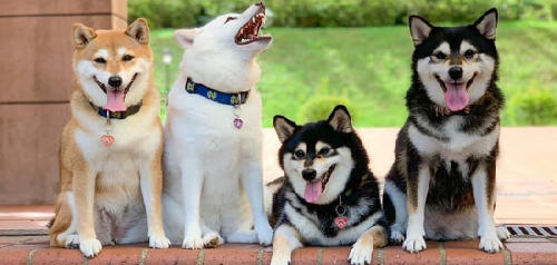 550x262_210 550x262_210