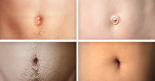 11 curiosidades ombligo 11 curiosidades ombligo