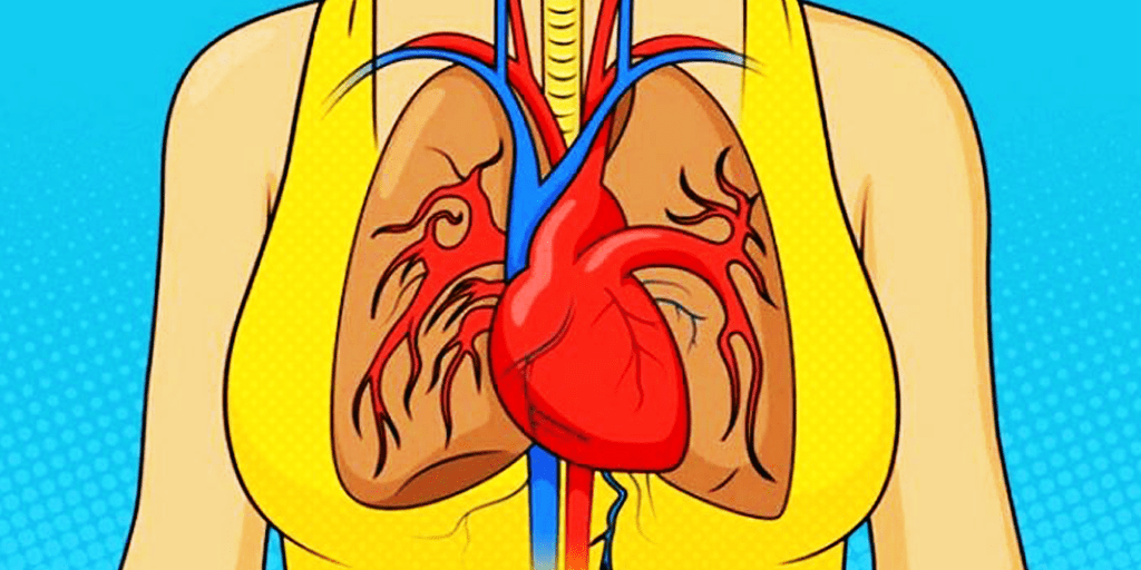 Estas son las 8 señales que tu cuerpo te da un mes antes de un infarto cardí..