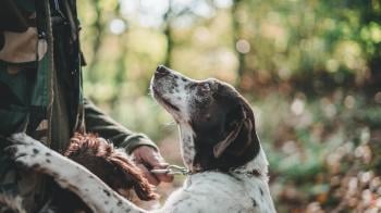 andrea cairone A2eVATAt7hg unsplash andrea cairone A2eVATAt7hg unsplash