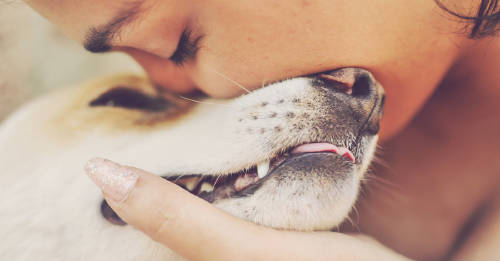 Está comprobado que las mujeres ven a las mascotas como si fueran sus propios hijos Está comprobado que las mujeres ven a las mascotas como si fueran sus propios hijos
