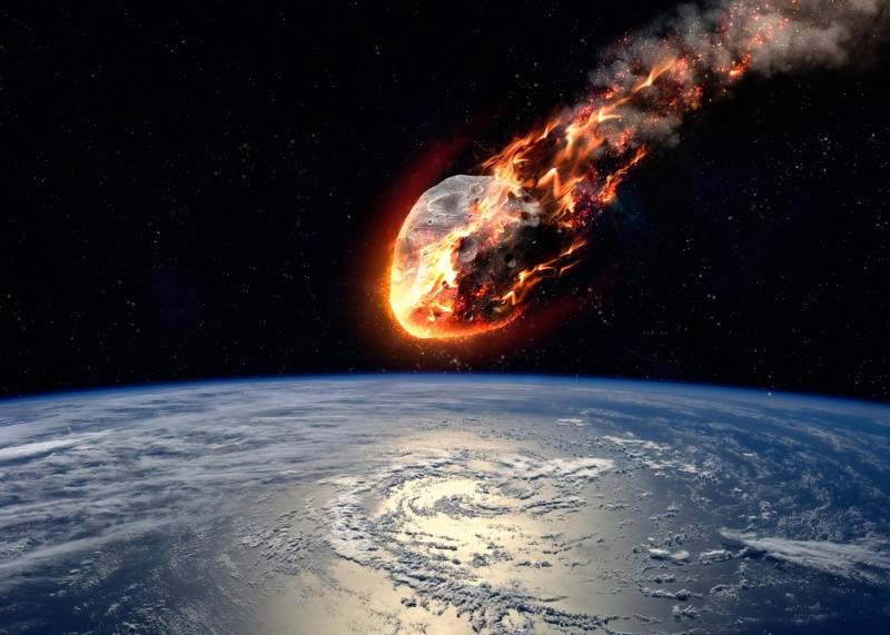 Esto sucedió después del impacto del asteroide que acabó con los dinosaurios