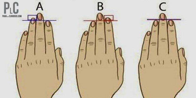 ¿sabías que el tamaño de los dedos de tus manos esconden grandes sorpresas?