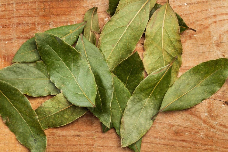 1693178539_archive_laurel_rz1000 1693178539_archive_laurel_rz1000