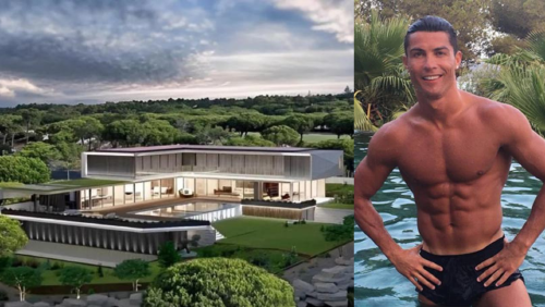 _portada bioguia (91) _portada bioguia (91)