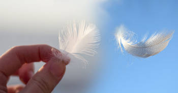 Cuál es el significado espiritual de que encuentres de manera inesperada con una pluma