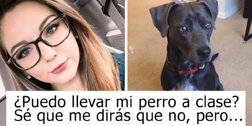 Para salvar a su perro del huracán, esta chica le pide a su profesor que le p..