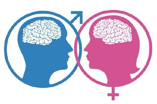 Diferencias cerebrales femeninas y masculinas